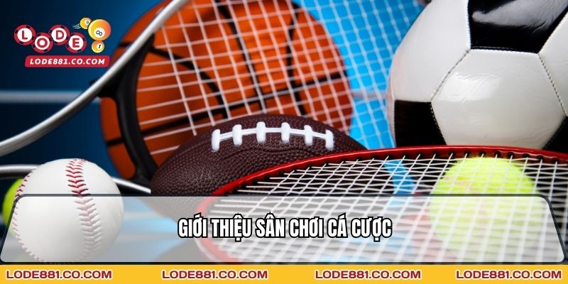 Giới thiệu sân chơi cá cược